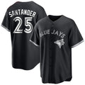T.Blue Jays #25 Anthony Santander Player Black City Connect Limited Stitched Jerseys