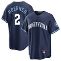 C.Cubs #2 Nico Hoerner Player Navy City Connect Home Game Gdoa Stitched Jerseys