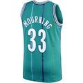 C.Hornets #33 Alonzo Mourning Mitchell & Ness 1992-93 Hardwood Classics Swingman Player Jersey  Teal Stitched American Basketball Jersey